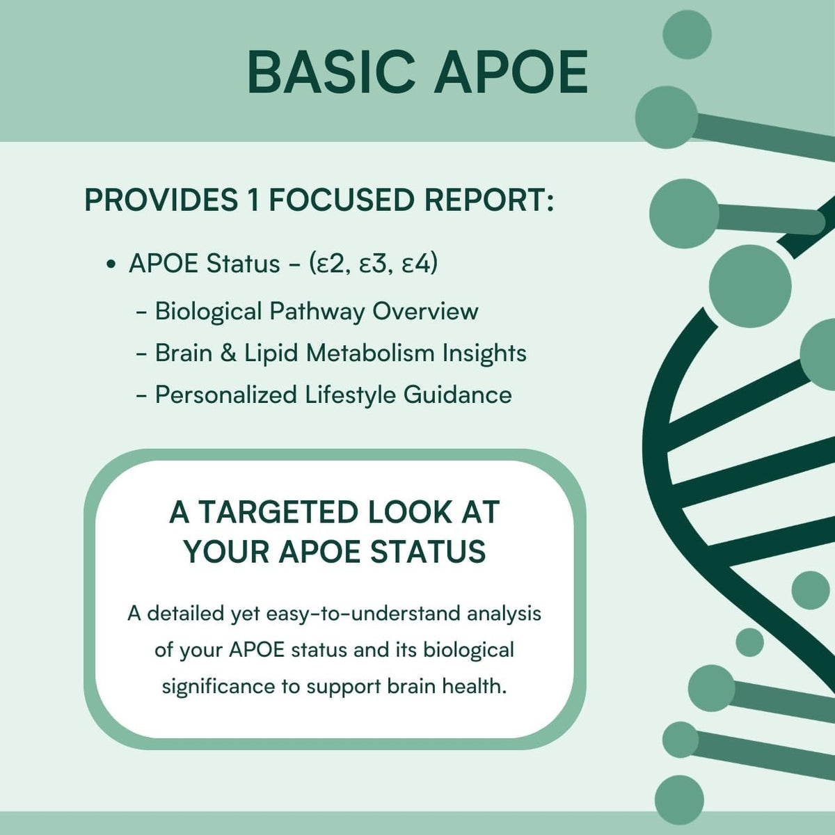 APOE4 Gene Test Kit: At-Home DNA Brain Health & Cognitive Genetic Analysis – Easy Cheek Swab – Personalized Genetic Insights – CLIA-Certified Lab