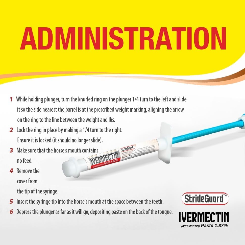 Horse Ivermectin Paste 1.87% – Apple Flavored Oral Horse Dewormer Syringe – 6.08g Tube Treats Horses Up to 1,250 lbs [Pack-1]