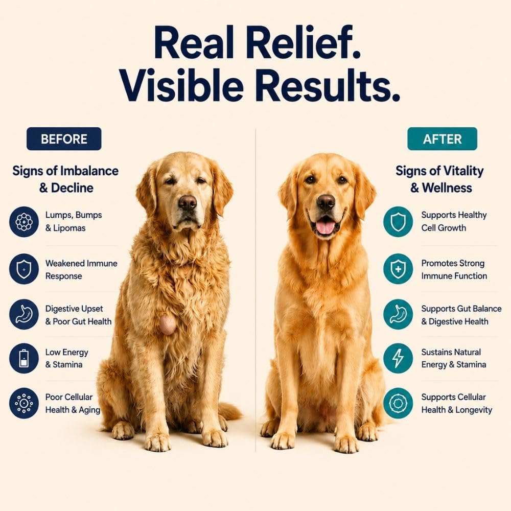 Turkey Tail Mushroom for Dogs – Mushroom Chews with Reishi & Probiotics – Dog Vitamins & Supplements for Immune Support, Gut Health, Brain Function & Daily Wellness – Duck Flavor – 90 Soft Chews