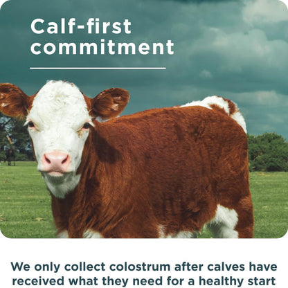 Ancient Nutrition Colostrum Superfood Powder, Grass Fed Bovine Colostrum, Supports Healthy Gut Microbiome and Immune System, Clinically Studied Lactoferrin