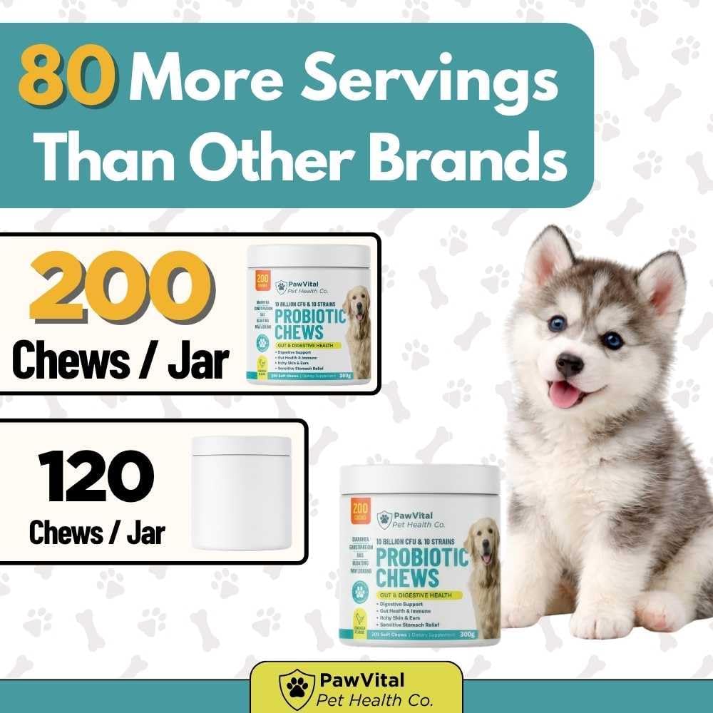 Dog Probiotic Chews for Digestive Health – Probiotics for Dogs with 10 Billion CFU, Prebiotics, Digestive Enzymes – Gut Health, Yeast, Itchy Skin & Itchy Ears – Diarrhea & Constipation – 200 Chews