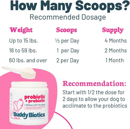 Probiotic + Prebiotic Powder for Dogs – 7 Probiotic Strains with Prebiotic FOS, Supports Gut Flora, Digestive & Immune Health, 5 Billion CFU per Scoop