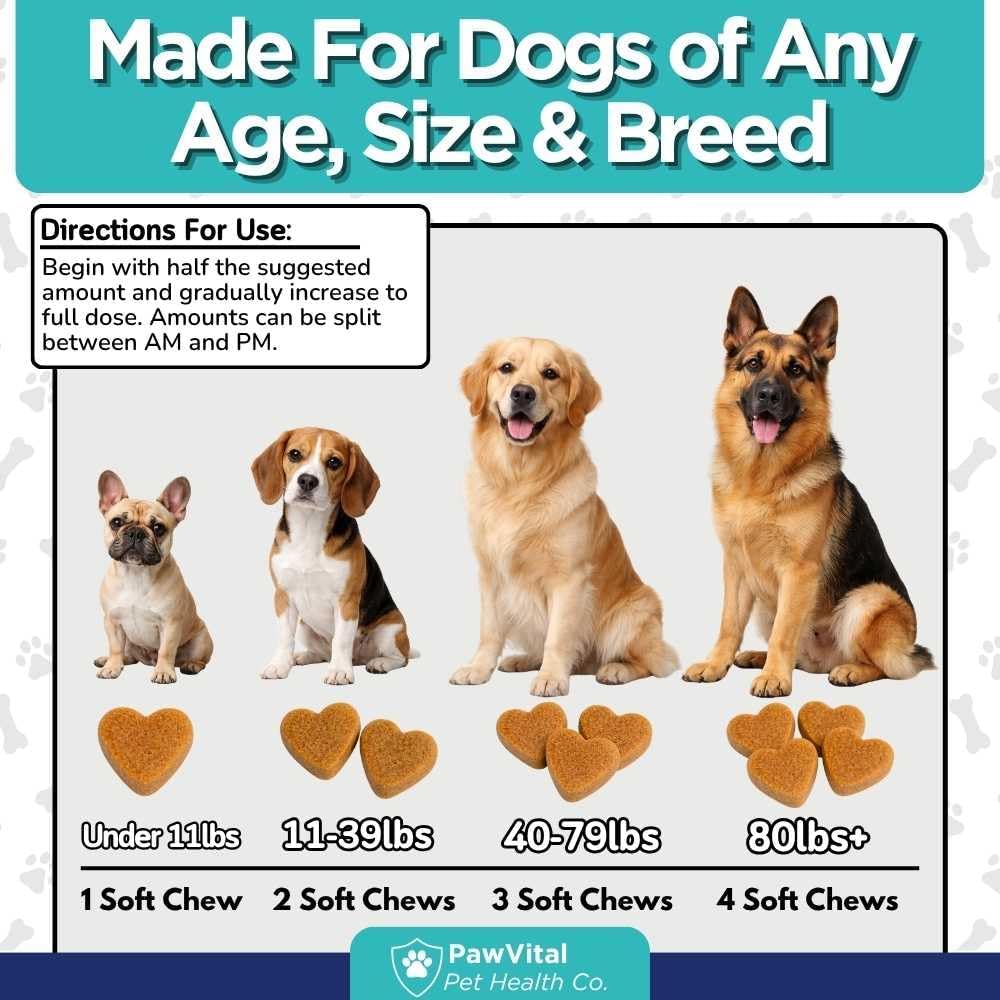 Dog Prenatal Vitamins for Pregnant & Nursing Dogs – 120 Soft Chews with Folic Acid, DHA, Choline, Iron & Calcium – Prenatal Multivitamin Supplement for Puppy Development, Pregnancy & Lactation Support