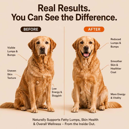 Lipoma Treatment for Dogs – Lumps & Bumps Support, Helps Reduce Fatty Tumors, Turkey Tail Mushroom Chews for Immune Health with L Carnitine, Chicken Flavor, 150 Soft Chews