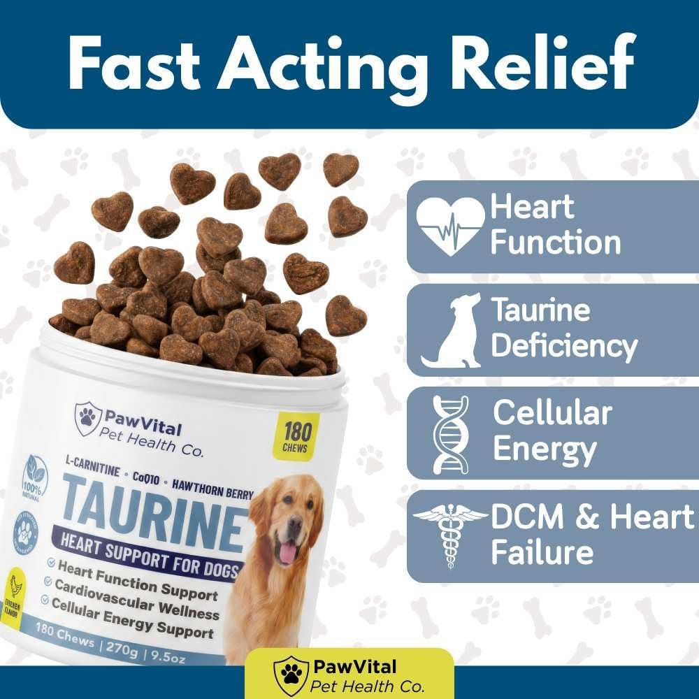 Taurine for Dogs – Heart Support Supplement with L-Carnitine, CoQ10 & Hawthorn Berry – Dog Heart Health & Cardiovascular Support Chews – Taurine Supplement for Dogs – 180 Chicken Flavor Soft Chews
