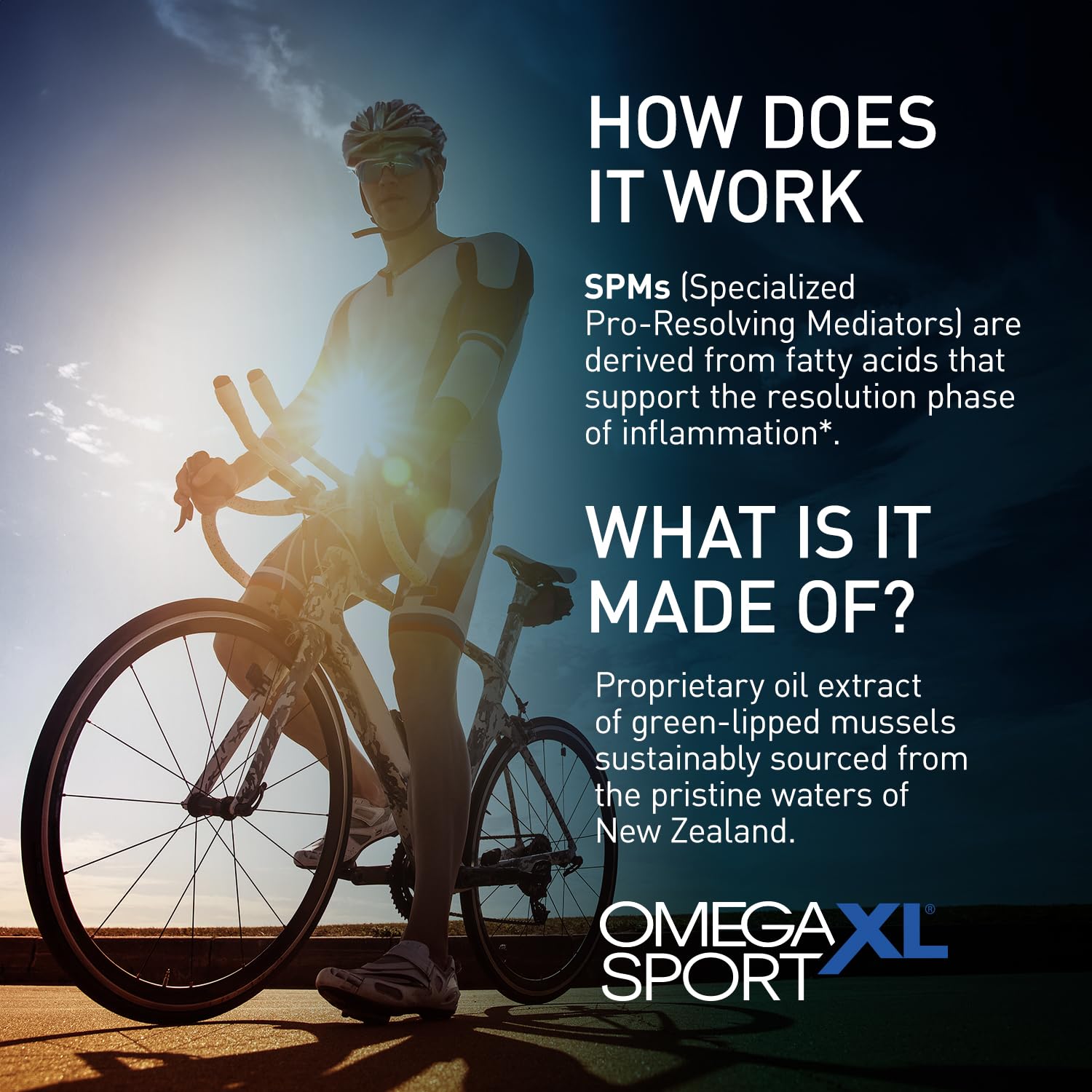 OmegaXL Sport Extra Strength Muscle Recovery Supplement and Respiratory Support Supplement - Improves DOMS and ROM, Clinically Supported Green-Lipped Mussel Oil (60 Softgels) OmegaXL buy supplements Au