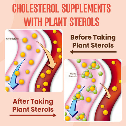 Cholesterol Supplement with Plant Sterols & Stanols, Guggul, Bergamot Orange Extract, Red Yeast Rice, Plant Sterols Complex Gummies, Mixed Berry Flavor, 60 Counts