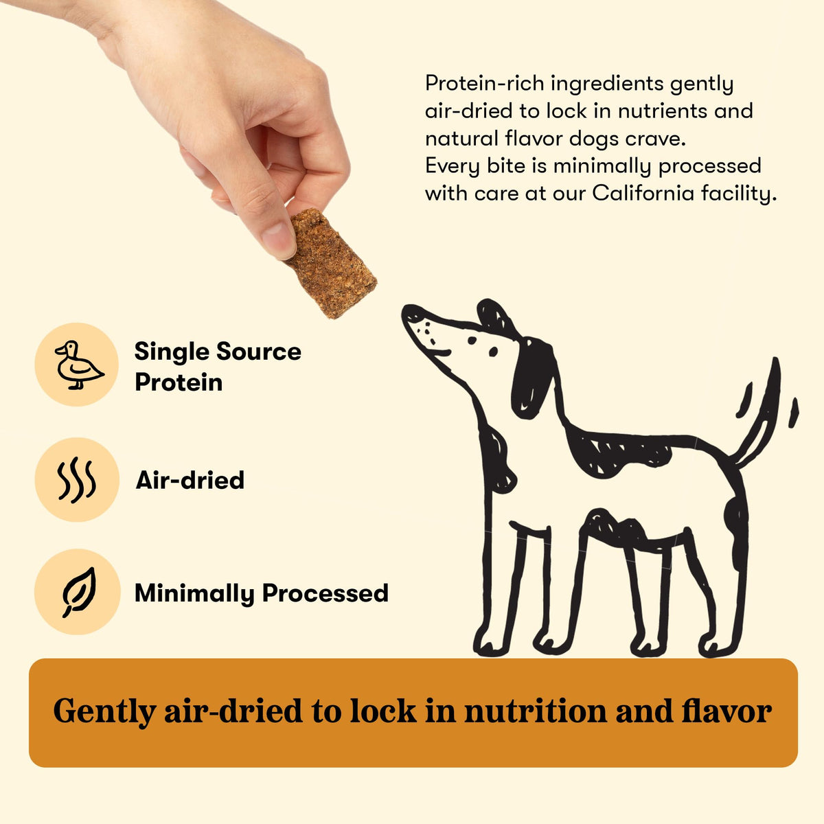 Plato Real Strips Salmon Recipe Dog Treats, Air-Dried High-Protein Soft Strips, Omega-Rich Skin & Coat Support, 18 oz