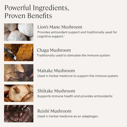 Stonehenge Health Dynamic Brain + Dynamic Mushrooms Bundle Memory Acquisition, Retention, & Recall with 40 Unique Nootropic Brain & Immune System Support