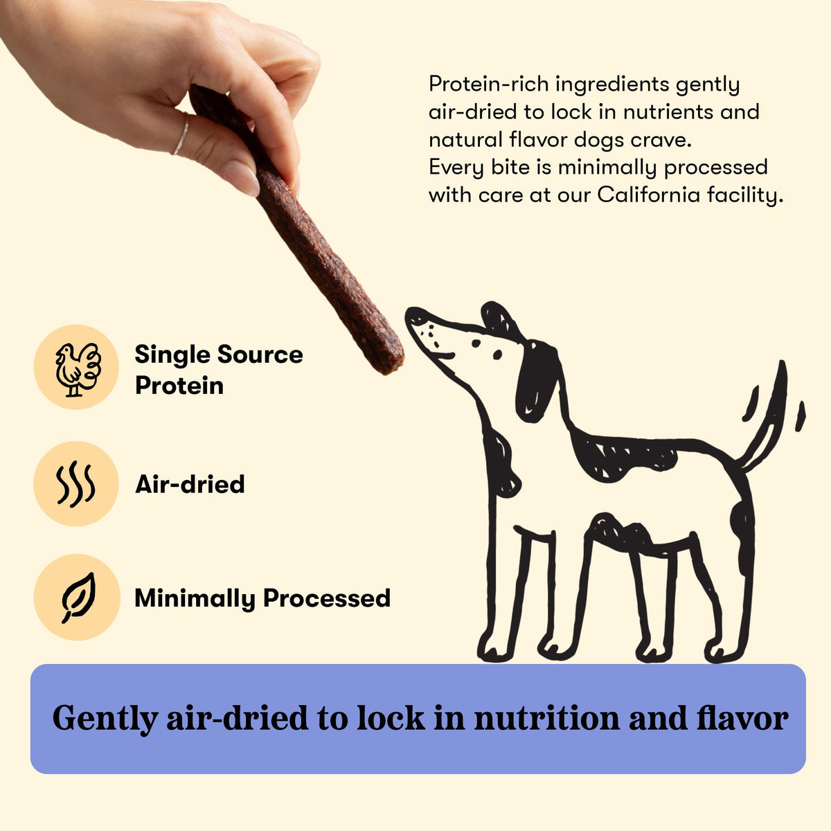 Plato Meat Sticks Salmon Dog Treats, Air-Dried High-Protein Soft Chews with Omega Fish Oil (EPA & DHA), 10 oz