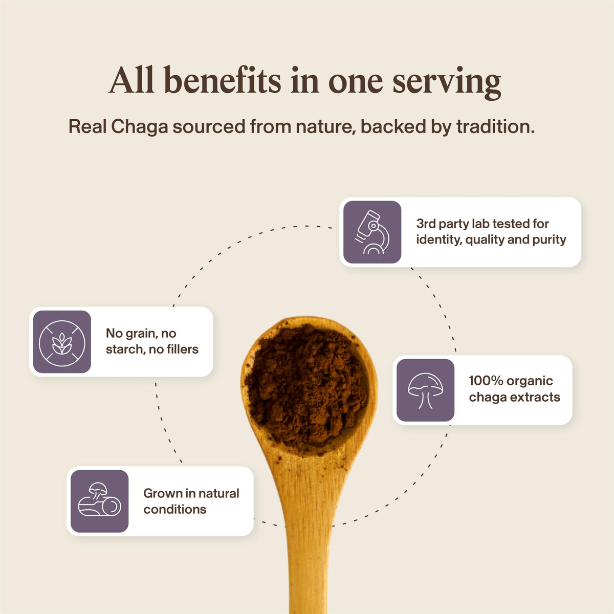 Real Mushrooms Chaga Mushroom Capsules – Organic Chaga Extract Powder with Extract Powder for Wellness & Energy Support– Vegan, Non-GMO, 120 Capsules – Organic Mushroom Supplement
