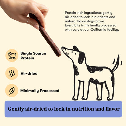 Plato Meat Sticks Salmon Dog Treats, Air-Dried High-Protein Soft Chews with Omega Fish Oil (EPA & DHA), 10 oz