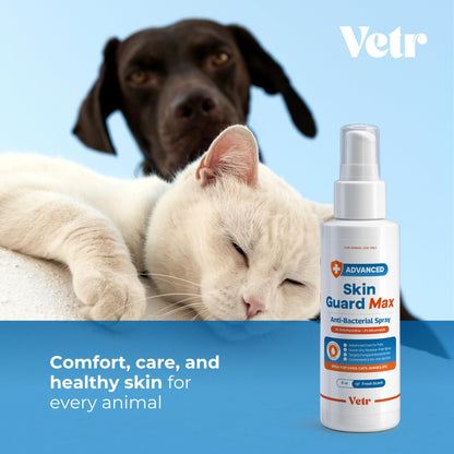 vetr Skin Relief Hydrocortisone Spray for Dogs - Topical Support for Itchy Skin and Hot Spots - 4 oz (120mL) - Vet-Formulated in USA