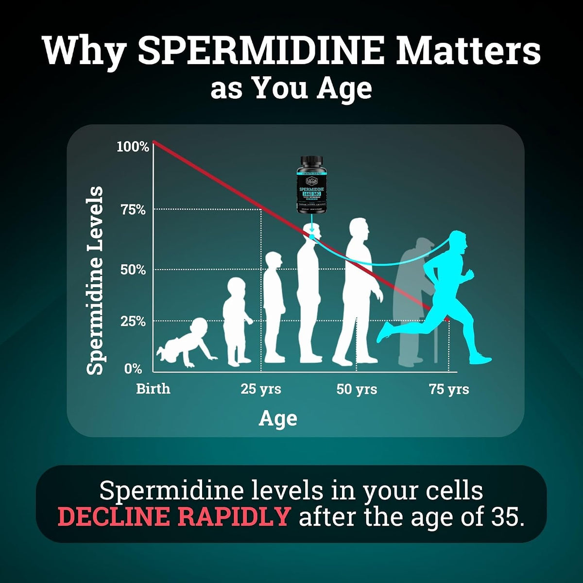 Spermidine Supplement (1440mg of 99% Pure Spermidine Supplements For Women & Men) 4 Months Supply (100X More Potent Than Wheat Germ Extract) 12MGS Per Serving For Cellular Health, Anti-Aging & Energy