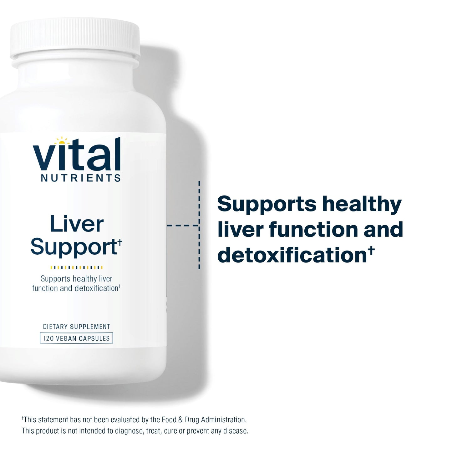Vital Nutrients Liver Support Milk Thistle and Curcumin - Vegan Supplement - Herbal Combination to Support Healthy Liver Function