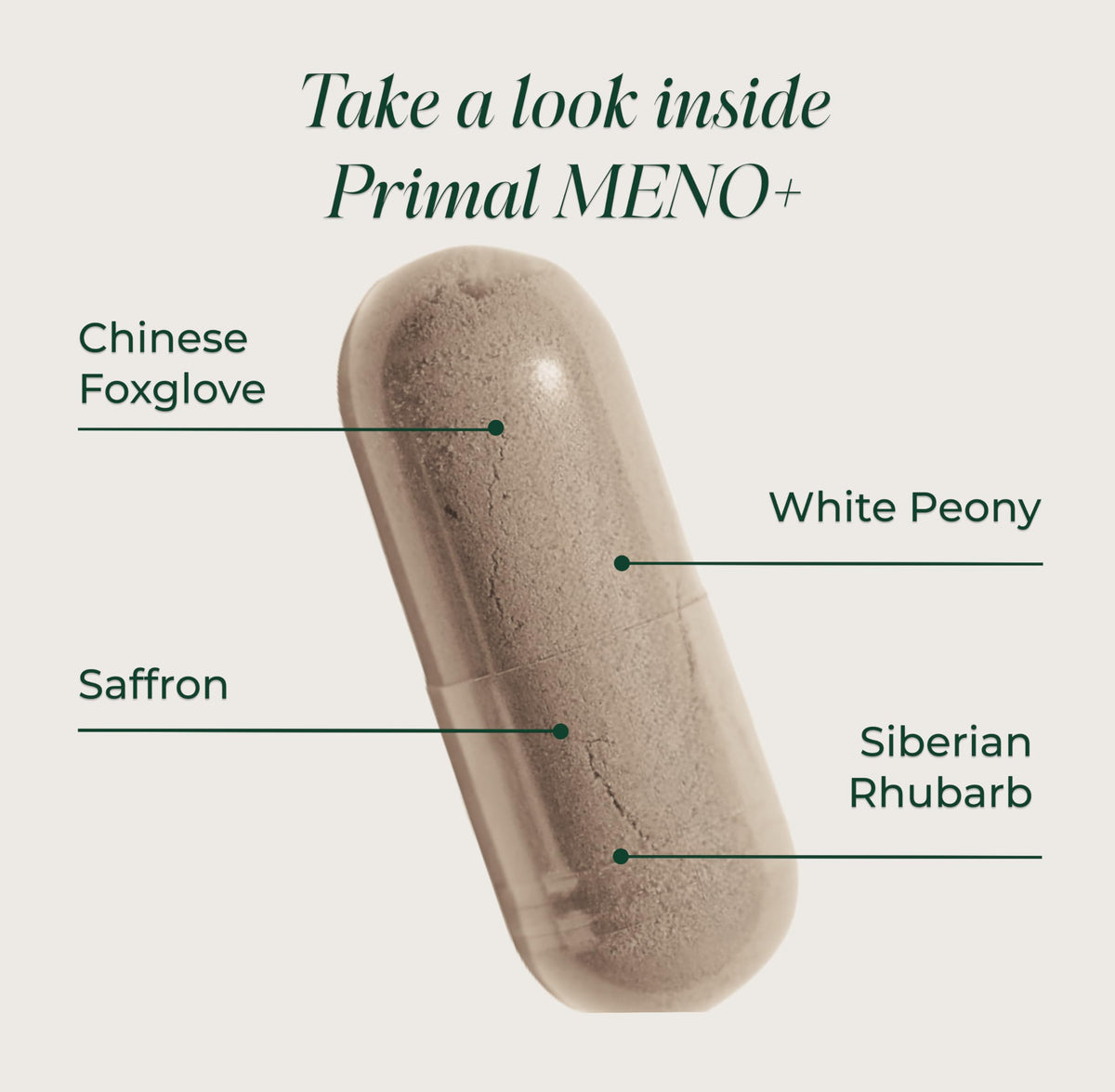 Primal Harvest MENO+ - Daily Vegan Supplement, Gluten & Dairy Free