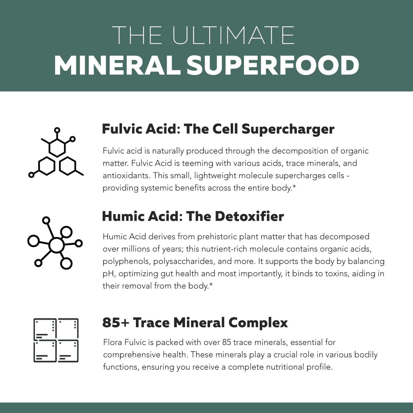 Flora Fulvic | Fulvic Acid + Humic Acid Complex – 550 mg | Mined in Utah, Prehistoric Deep Earth Extract | Immunity, Gut, Digestion