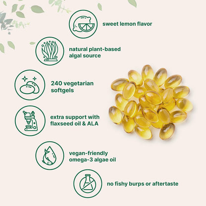 Micro Ingredients Vegan Omega 3 Algae Oil, 240 Veggie Softgels | Fish Oil Alternative | DHA 500mg & DPA 100mg | Carrageenan Free | Plant-Based Omega 3 with Flaxseed & ALA | Lemon Flavored