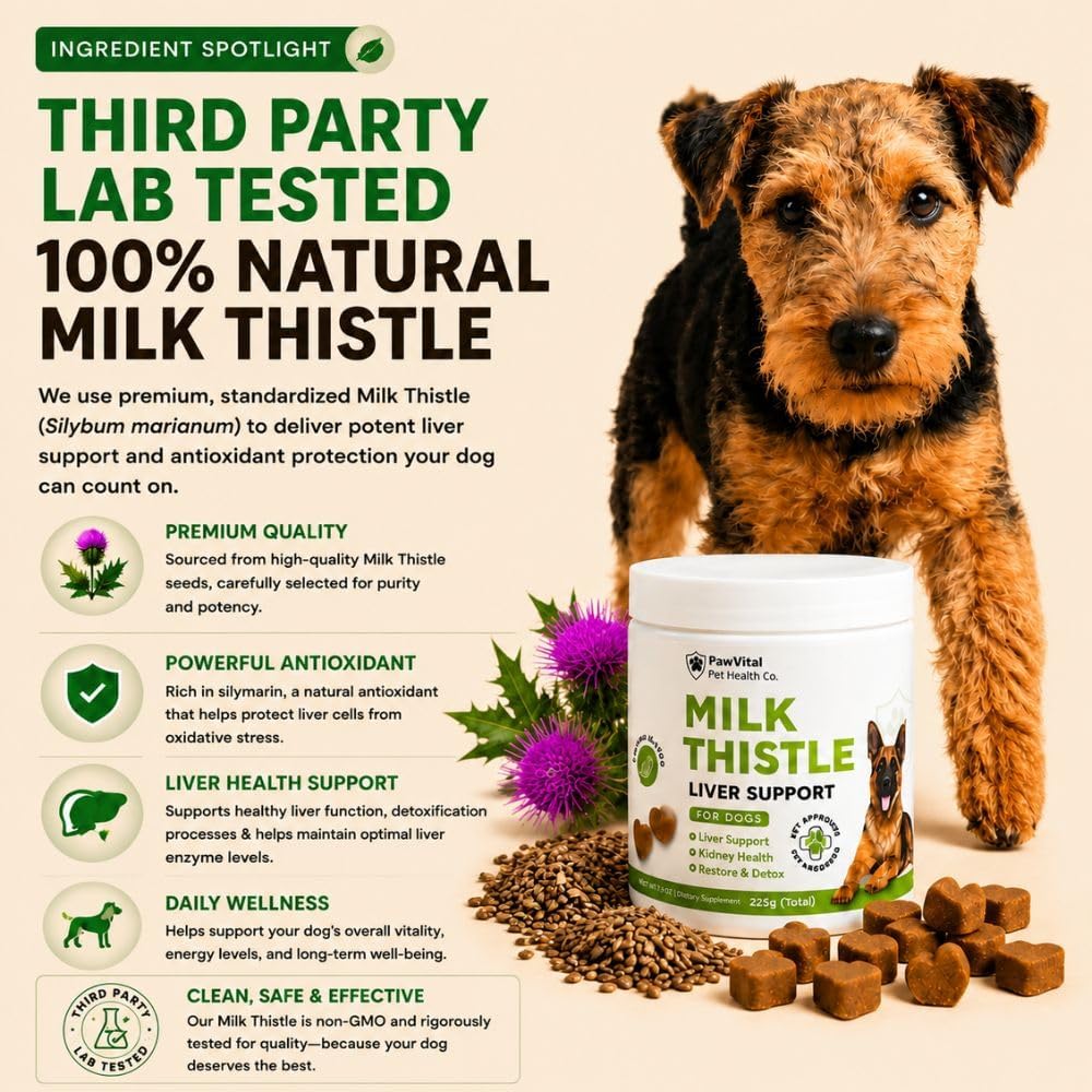 Milk Thistle for Dogs - Max Strength Liver Support Chews, Wild Alaskan Salmon Oil & Curcumin - Kidney Detox & Hepatic Support - Natural Liver Support Chews Made with Real Chicken, Choline & NAC