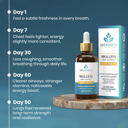 BREATHIUM 4-in-1 Mullein Drops for Lungs & Gut Health – Liposomal Mullein Leaf Extract, Made in USA, Natural Lung Detox for Smokers + Immune, Digestive