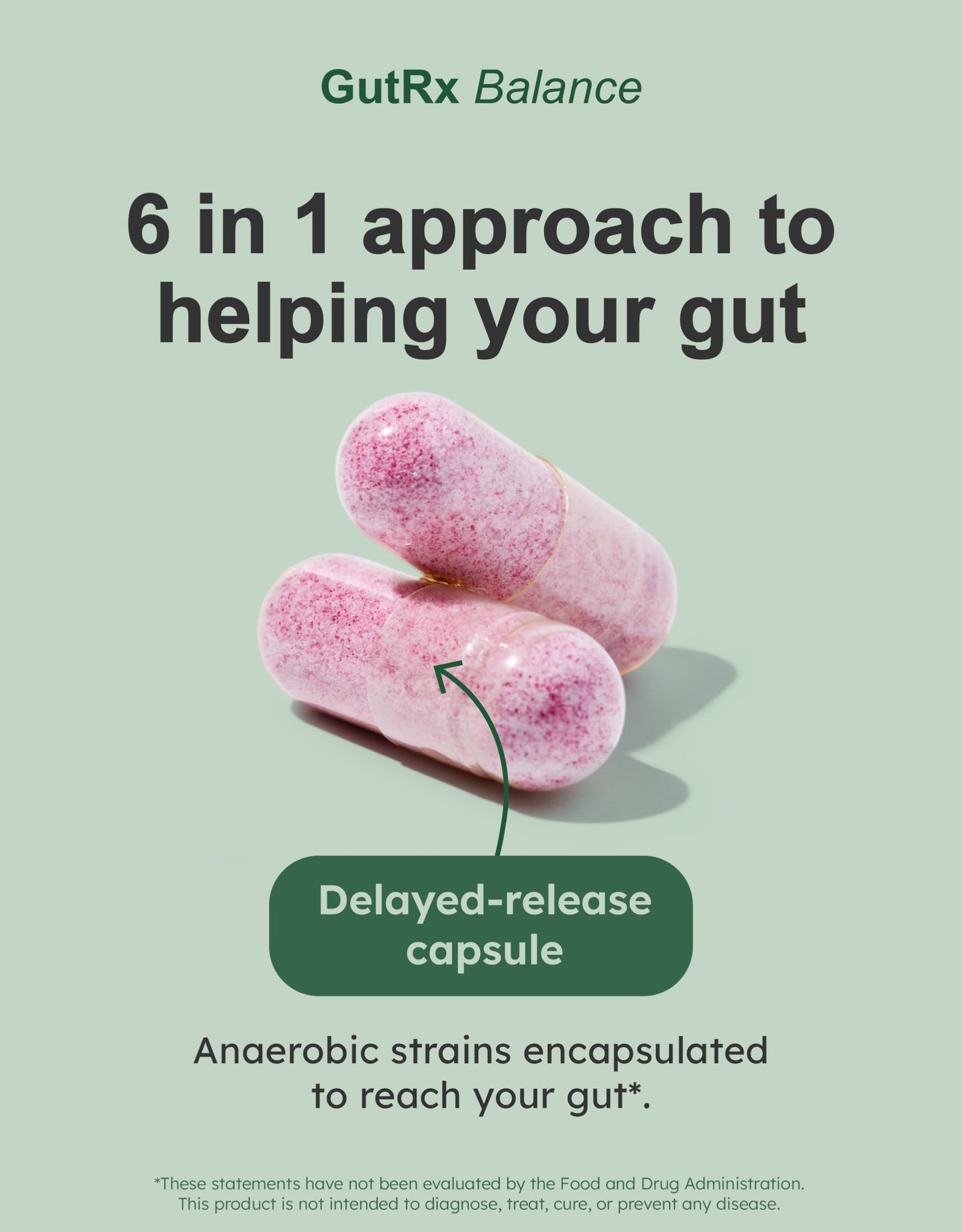 GutRx Balance – Probiotics for Women & Men with Akkermansia Probiotic & Christensenella, Alternative for Gut Health with Lactobacillus Plantarum,