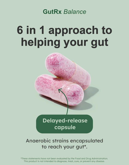 GutRx Balance – Probiotics for Women & Men with Akkermansia Probiotic & Christensenella, Alternative for Gut Health with Lactobacillus Plantarum,