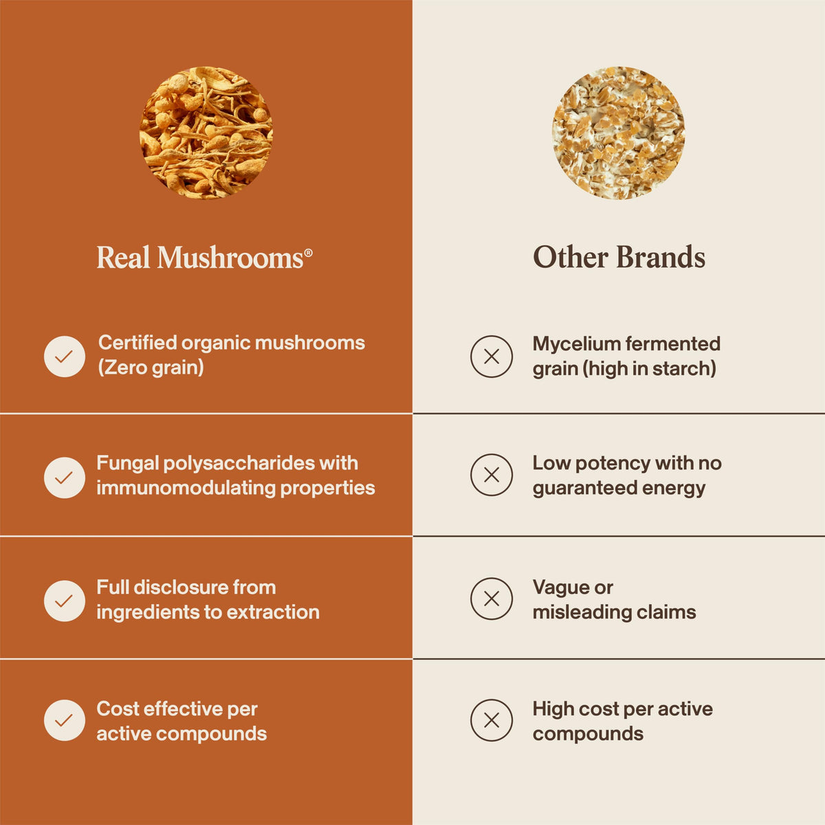 Real Mushrooms Cordyceps Mushroom Powder - Organic Cordyceps Powder Mushroom Energy and Wellness Support - Rich in Beta Glucans - Non-GMO, Vegan Supplement, 60 Servings