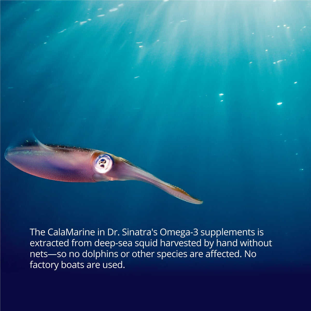 Dr. Sinatra CalaMarine Omega 3 Supplement with DHA and EPA, Clinical Grade for Brain, Heart, and Eye Health, 60 Softgels