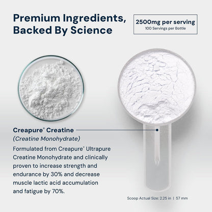 HPN C2 Creapure Creatine for Strength & Recovery, 100 Servings | Ultra-pure Creapure creatine supports strength, performance and recovery; vegan, non-GMO and independently tested.