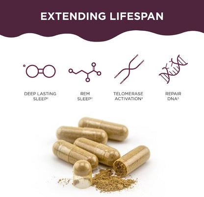 Healthycell Telomere Length + AC-11 | Anti-Aging & DNA Repair Supplement | Telomere Length + AC-11 DNA Repair Supplements - Advanced Anti-Aging & Cellular Health Support for Longevity