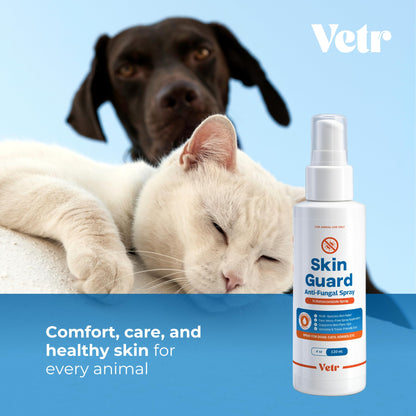 vetr Skin Relief Hydrocortisone Spray for Dogs - Topical Support for Itchy Skin and Hot Spots - 4 oz (120mL) - Vet-Formulated in USA