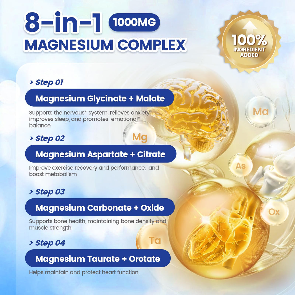 Pure Magnesium Glycinate 500mg, Magnesium Supplement with Vitamin B6 for High Absorption, Supports Stress Relief, Sleep, Muscle, Calm, Relaxation, Nerves* & Metabolism*, Non-GMO, 240 Vegan Capsules