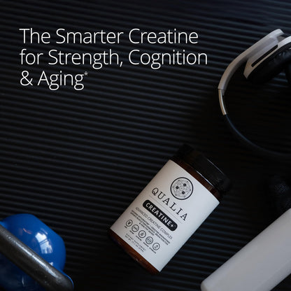Qualia Creatine | Advanced Creatine Complex | 2 Sources + Magnesium | Optimized Absorption | Muscle Performance, Brain Function, & Healthy Aging (30 Servings)