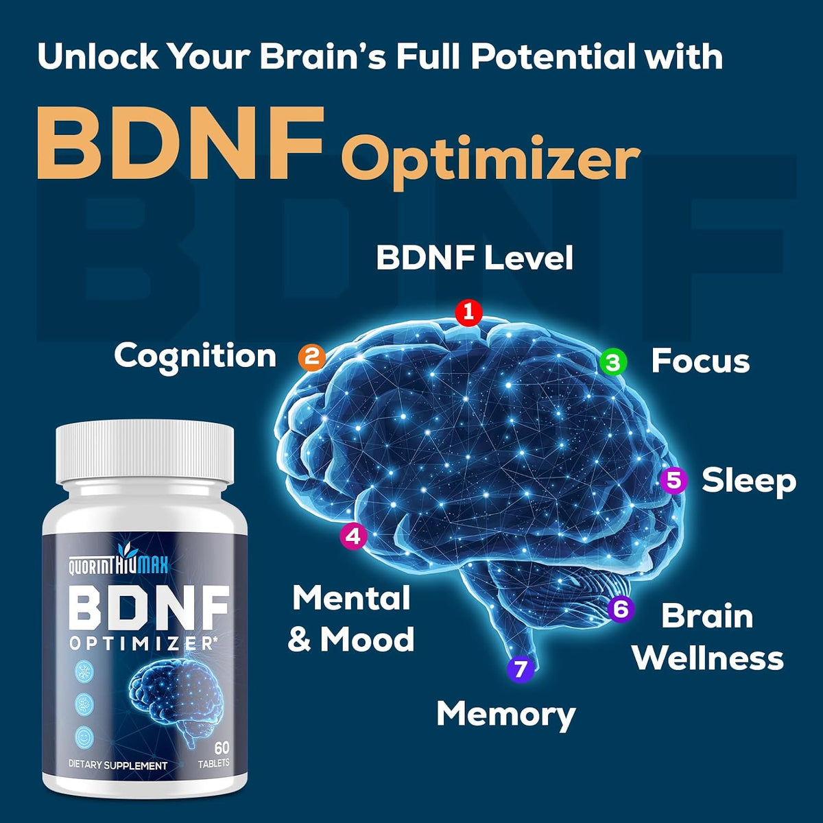 Nootropic Brain Supplement for Memory and Focus – BDNF Optimizer – Cognitive, Mental Clarity & Mood – High Absorption – Organic Lion's Mane, L-Theanine, Ginkgo Biloba & Alpha GPC – 60 Tablets