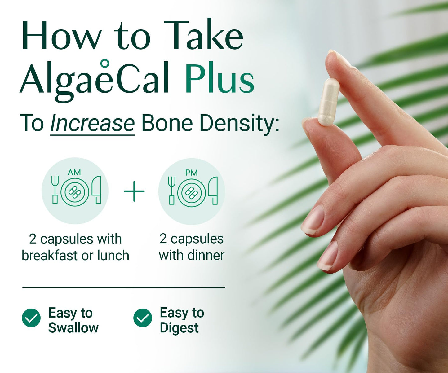 ALGAECAL Organic Red Algae Calcium Supplement for Bone Density, Vitamin K2 MK7 (100mg), Vitamin D3 (1600 IU), Magnesium (350mg) & Trace Minerals & Strength, Easy to Swallow, 120 Veggie Caps ALGAECALBuy Supplements Australia
