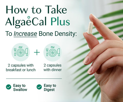 ALGAECAL Organic Red Algae Calcium Supplement for Bone Density, Vitamin K2 MK7 (100mg), Vitamin D3 (1600 IU), Magnesium (350mg) & Trace Minerals & Strength, Easy to Swallow, 120 Veggie Caps ALGAECALBuy Supplements Australia