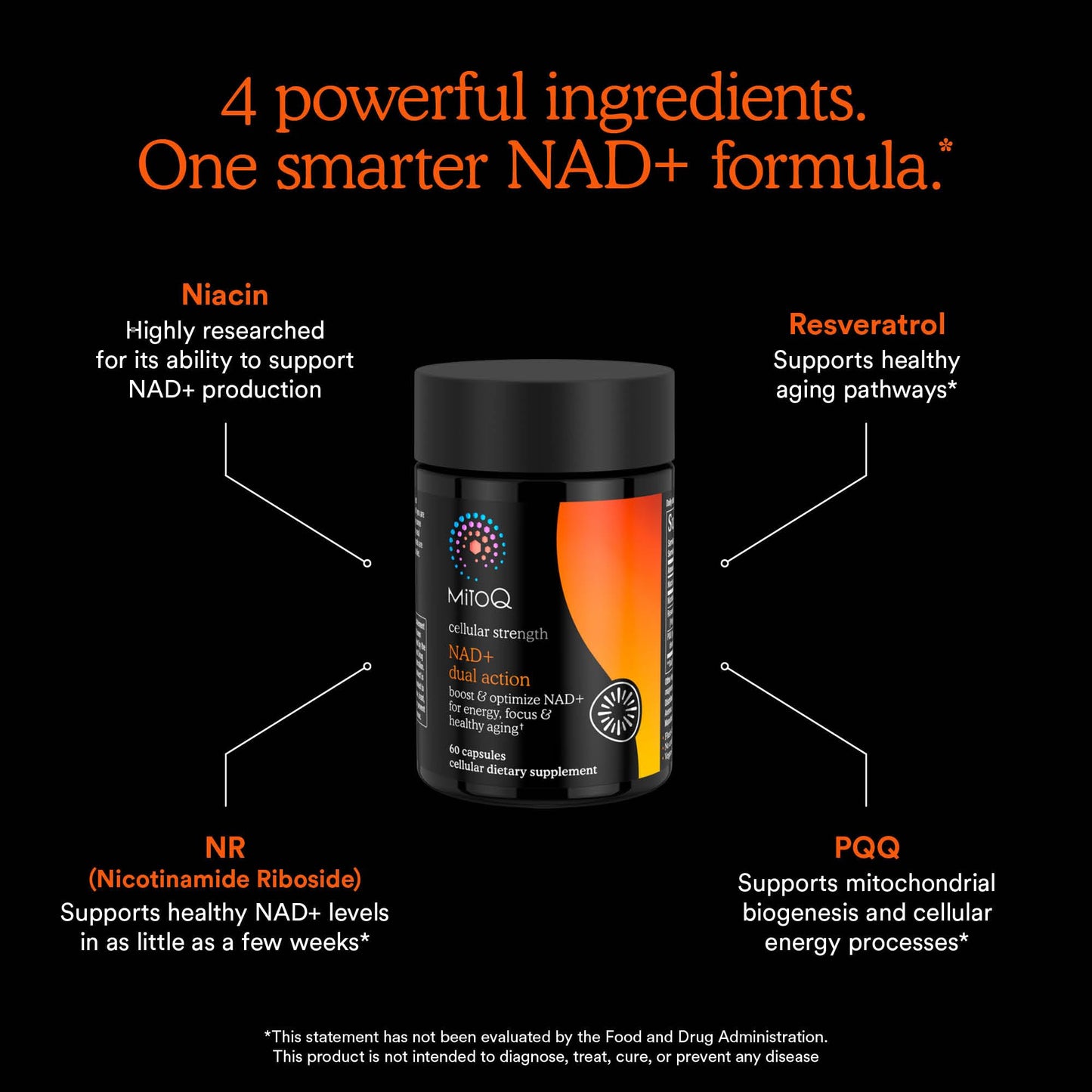 MitoQ NAD+ Dual Action Supplement - NAD+ Supplement with Nicotinamide Riboside (NR), Niacinamide, Resveratrol, & PQQ - Supports Cellular Energy, Focus