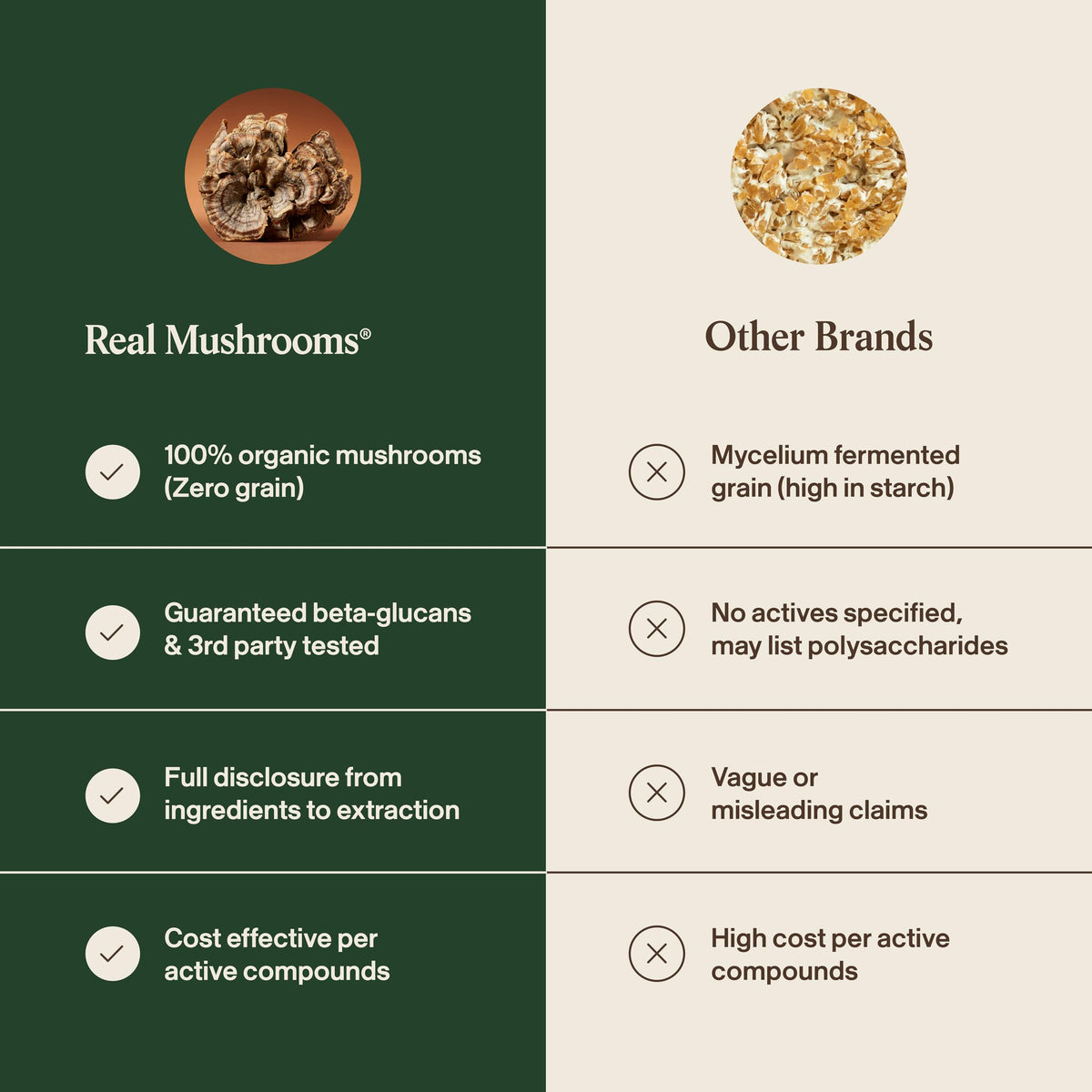 Real Mushrooms Turkey Tail Mushroom Powder – Organic Mushroom Extract for Daily Wellness Gut Harmony, & Energy Support with Beta Glucans – Vegan, Non-GMO, 45 Servings Functional Supplement