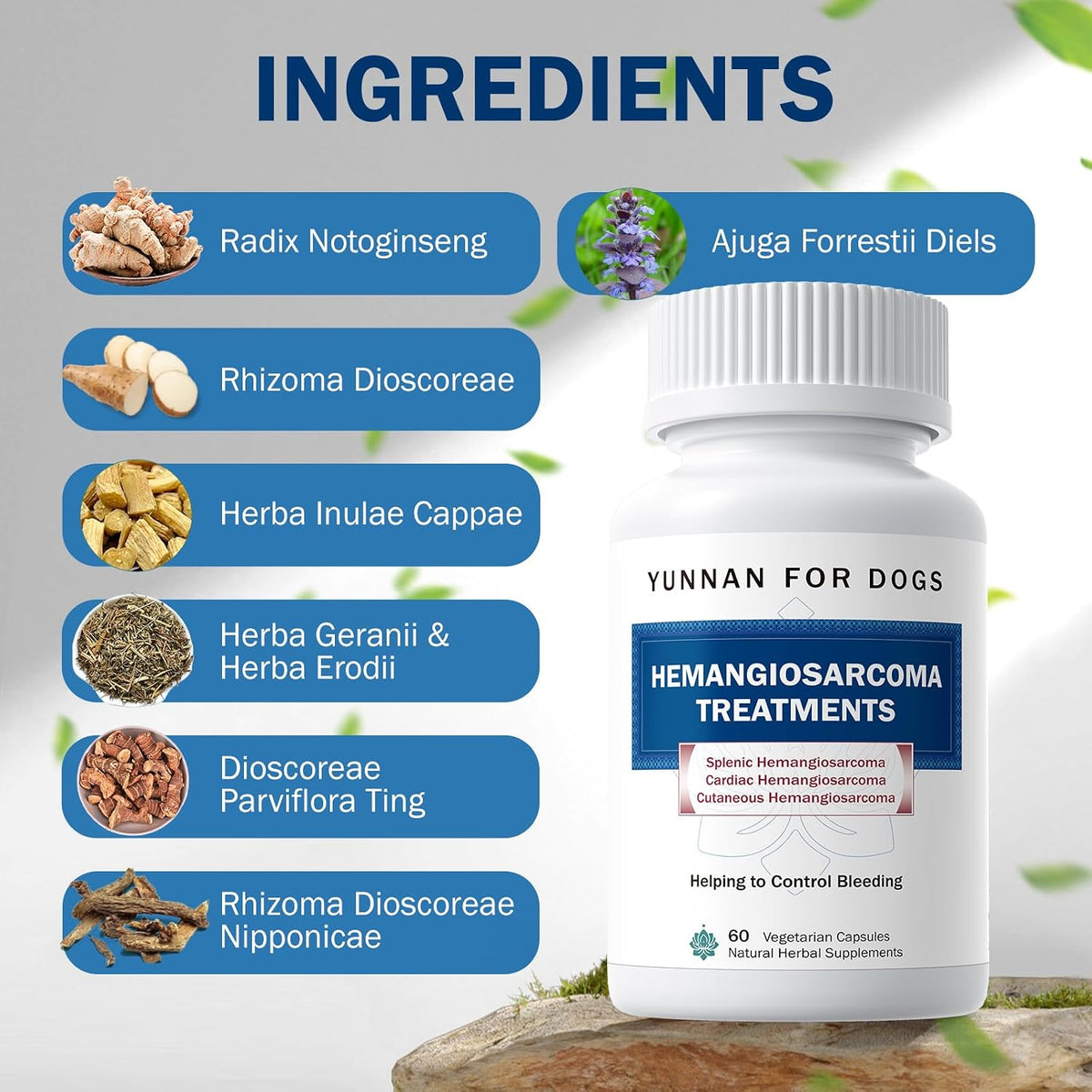 Fast Acting Bleeding Control for Dogs - Yunnan Sanqi Herbal Capsules | Supports Internal Bleeding, Hemangiosarcoma, Nosebleeds, Bloody Stools, Post-Surgical Recovery, 60 Capsules