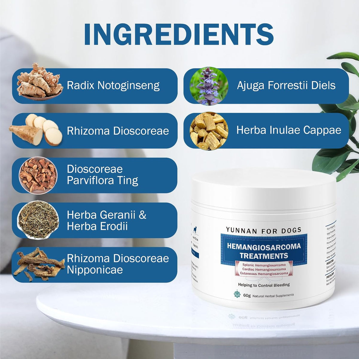 Quick Stop Bleeding for Dogs, Natural Yunnan Sanqi & Herbal Powder | Supports Internal Bleeding, Hemangiosarcoma, Bloody Stools, Post-Surgical Recovery, Ulcers, Severe Bruising, 60g