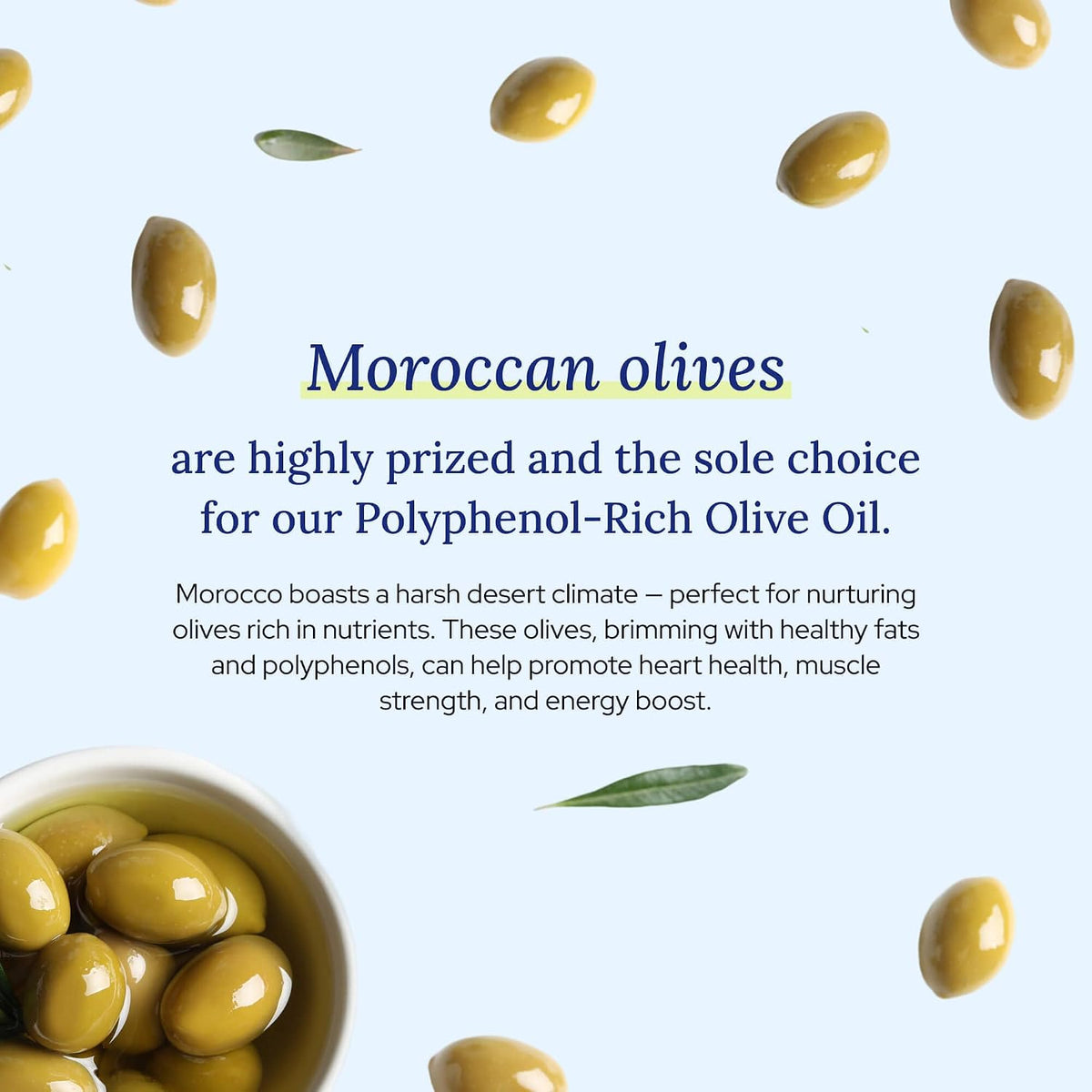 Gundry MD® Organic Extra Virgin Polyphenol-Rich Moroccan Olive Oil | Robust & Peppery Flavor, Cold Pressed, Wellness Supplement, USDA Organic, Best Results when Consumed as Supplement Shot