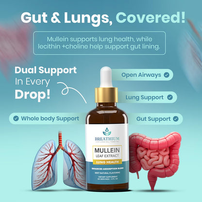 BREATHIUM 4-in-1 Mullein Drops for Lungs & Gut Health – Liposomal Mullein Leaf Extract, Made in USA, Natural Lung Detox for Smokers + Immune, Digestive