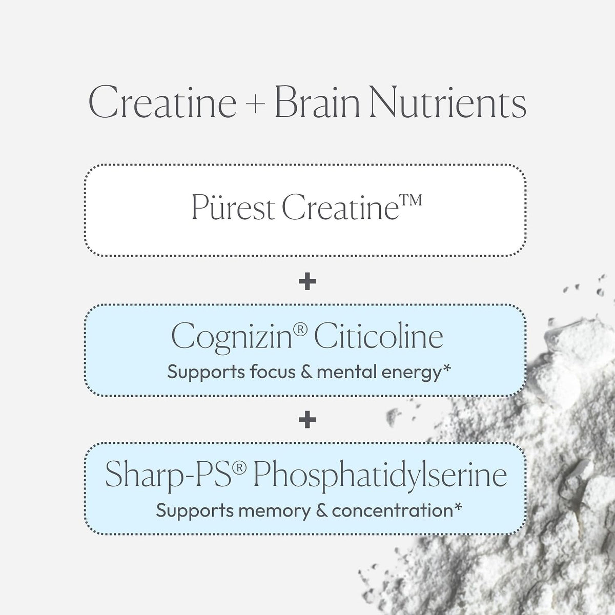 Papillex Creatine Well – Clean Creatine Powder for Brain Energy & Muscle Tone with Cognizin & Sharp•PS