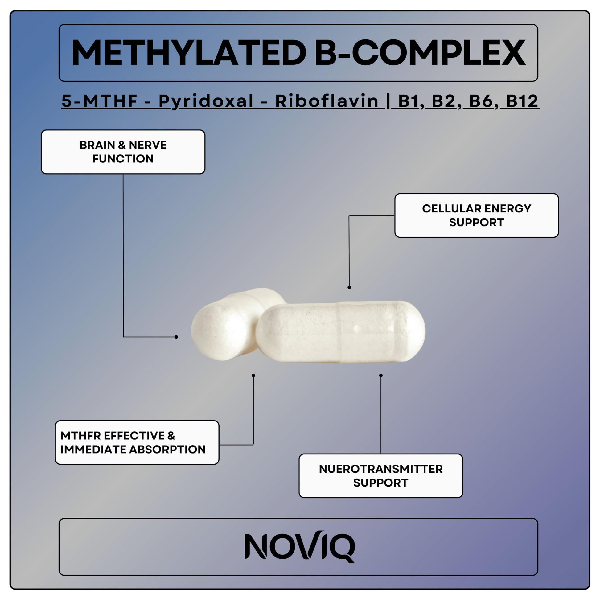 11-in-1 Nootropic Supplement: Supports Memory & Cognition - 100mg Ginkgo 150mg Bacopa 300mcg Huperzine 200mg L-Theanine 150mg L-Tyrosine & Bioactive B-Complex w/ 5-MTHF - 1,100mg+ Serving - 60 Count NOVIQBuy Supplements Australia