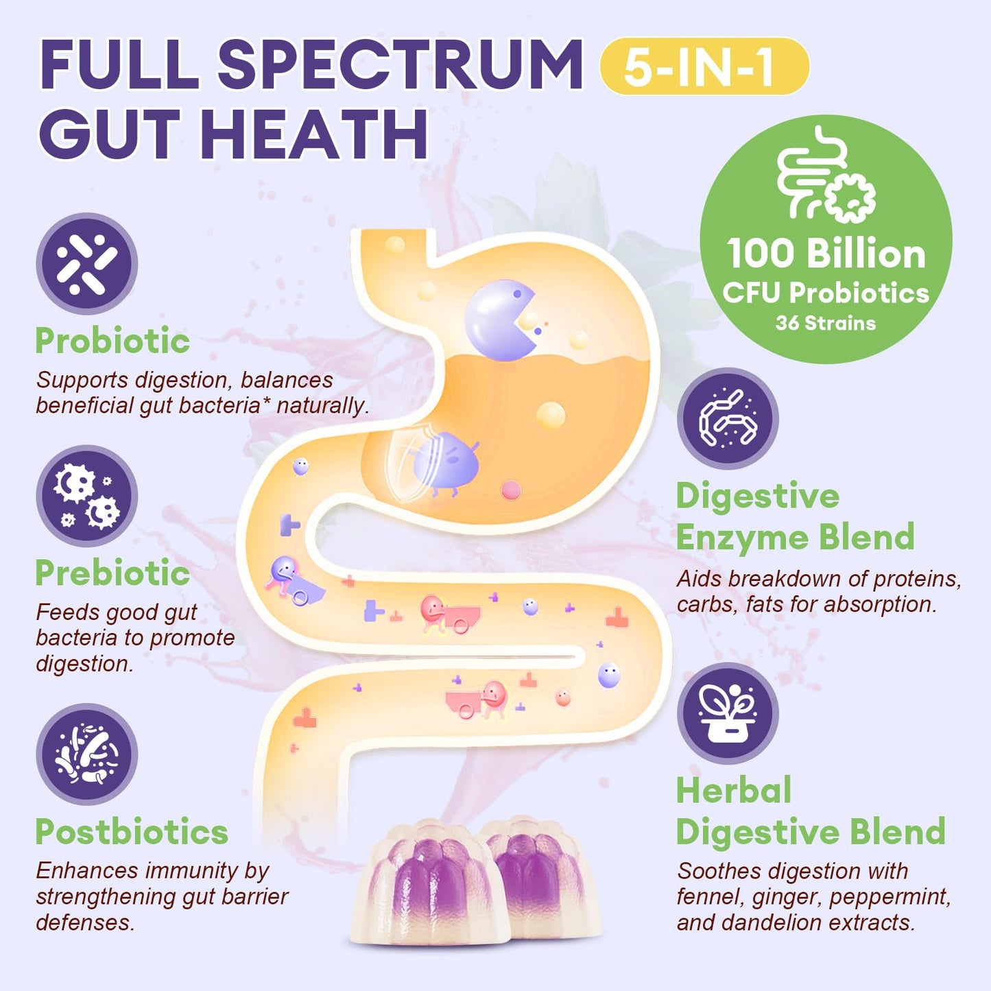 Totaria 2 PCS Sugar Free 5-in-1 Probiotic Prebiotic Postbiotic Gummy, 36 Strains Probiotics for Women Men with Digestive Enzymes, Peppermint, Complete Immune, Gut & Digestive Support, Grape Flavor