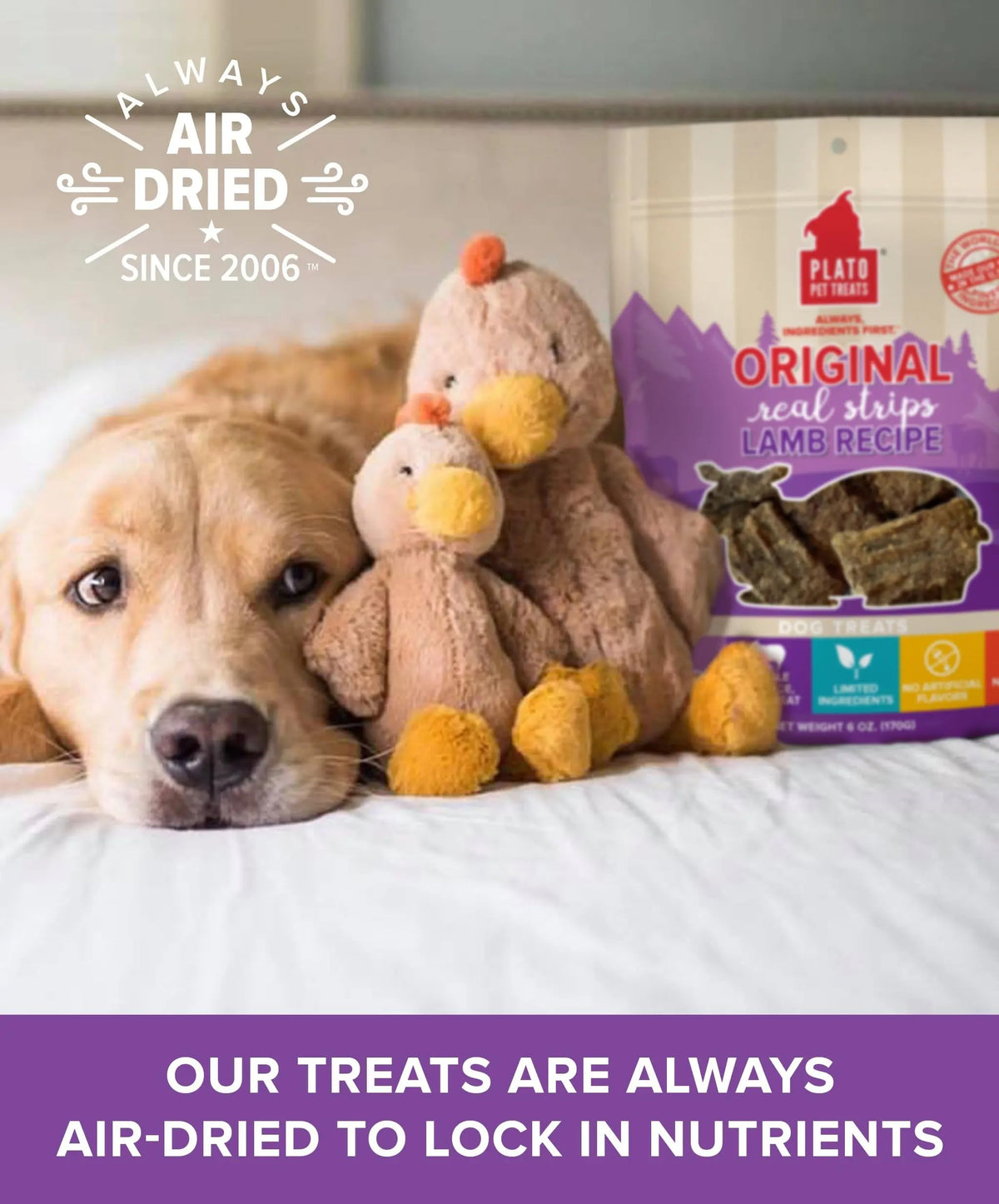 Plato Pet Treats Real Strips - Air-Dried Meat Bars for Dogs - Delicious, Limited Ingredient Dog Treats - Grain Free - Original Real Strips Turkey & Pumpkin 18oz - 2 Pack