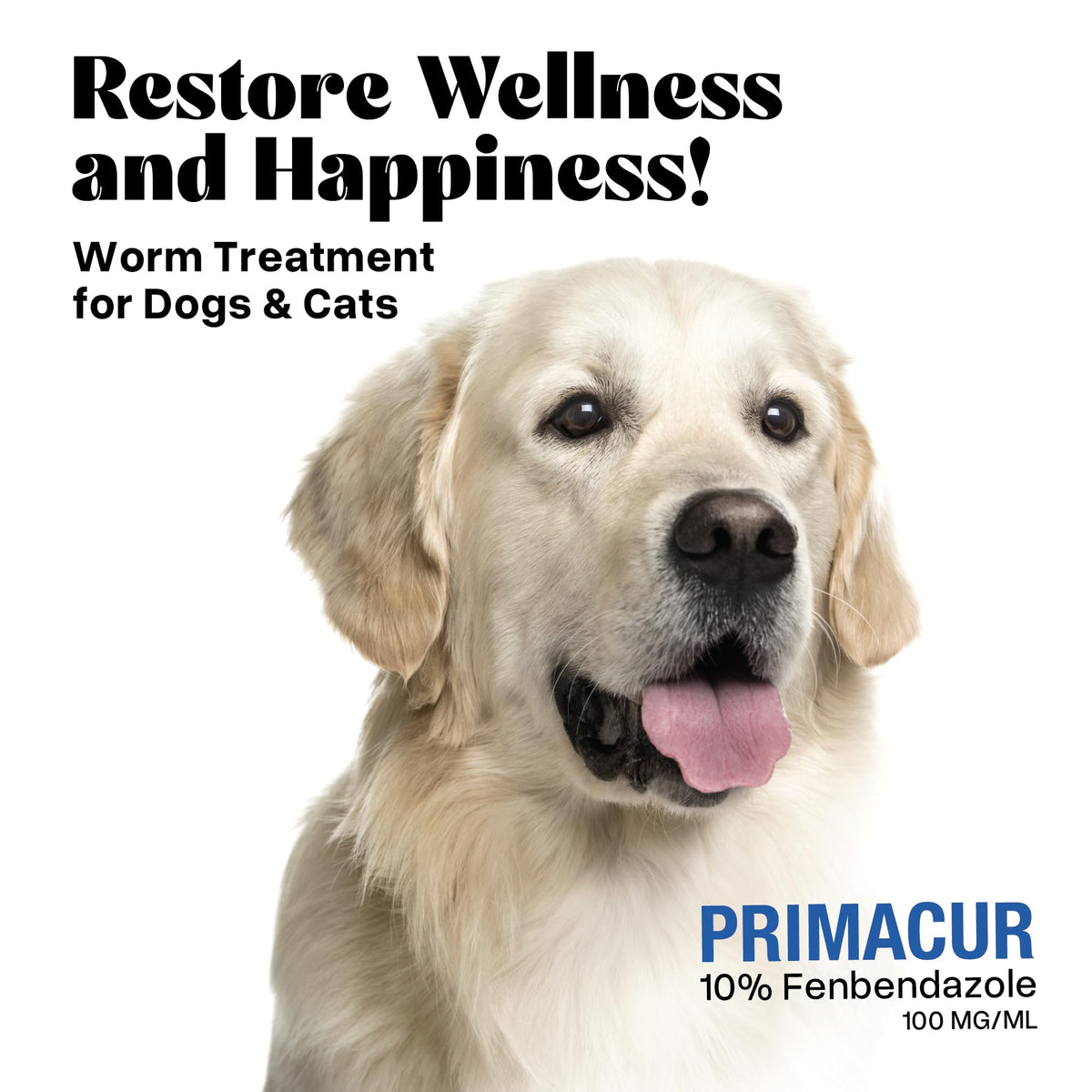 vetr Primacur Broad-Spectrum Oral Suspension Support Formula 10% Oral Suspension for Dogs and Cats - 240ML/8.1oz - Bacon Flavor