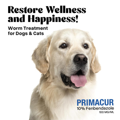 vetr Primacur Broad-Spectrum Oral Suspension Support Formula 10% Oral Suspension for Dogs and Cats - 240ML/8.1oz - Bacon Flavor