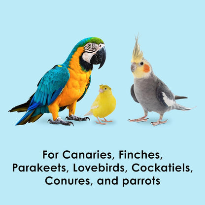 Kaytee Oat Groats Treat Jar for Pet Birds, 11 Ounces | More bird food variety. Crunchy bird treats. Easy to serve, protein source, parakeet treats