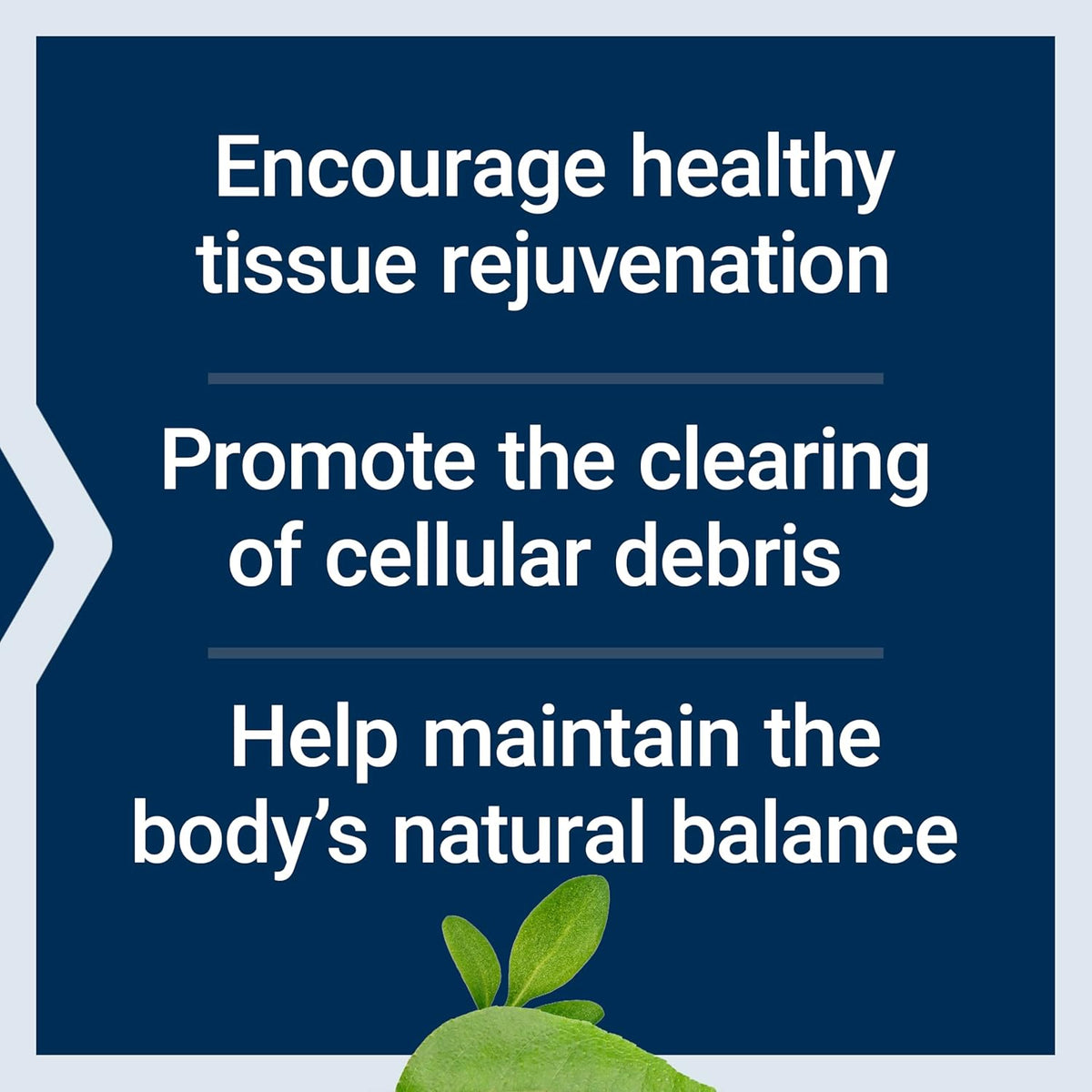 Life Extension Pro-Resolving Mediators, 18-HEPE, 17-HDHA, 14-HDHA, Supports The Body’s Natural Post-inflammatory Response, Gluten Free, Non-GMO, 30 softgels